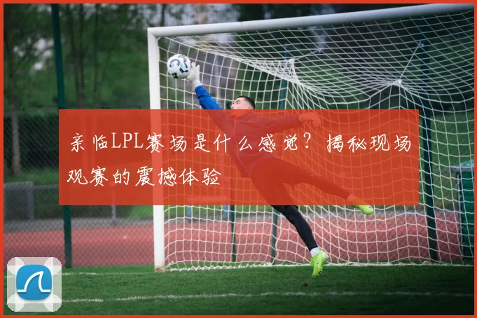 亲临LPL赛场是什么感觉？揭秘现场观赛的震撼体验
