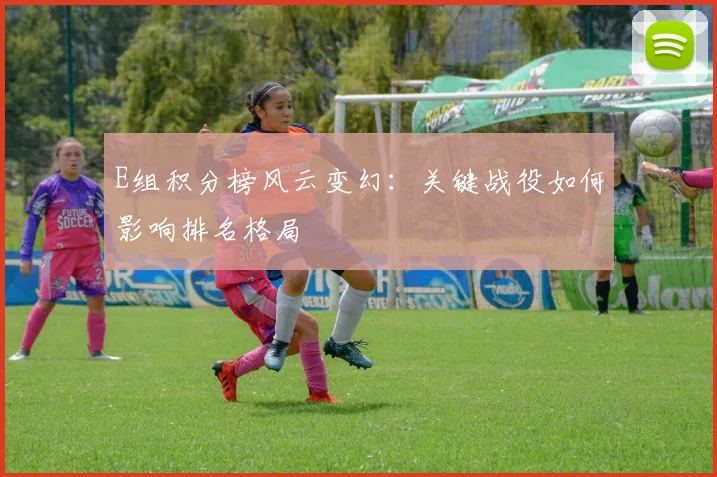 E组积分榜风云变幻：关键战役如何影响排名格局