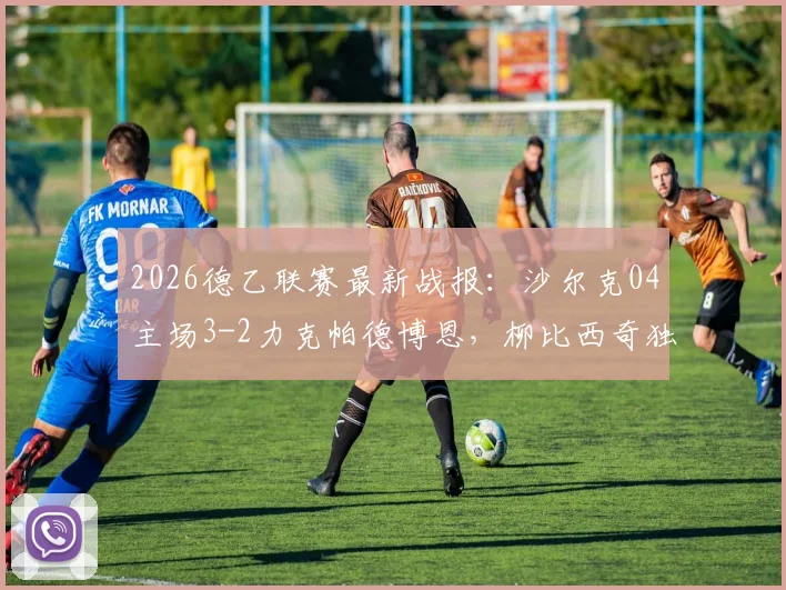 2026德乙联赛最新战报：沙尔克04主场3-2力克帕德博恩，柳比西奇独中两元引爆全场，附比赛集锦与积分榜深度分析