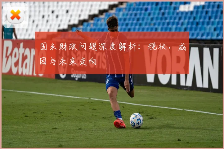国米财政问题深度解析：现状、成因与未来走向
