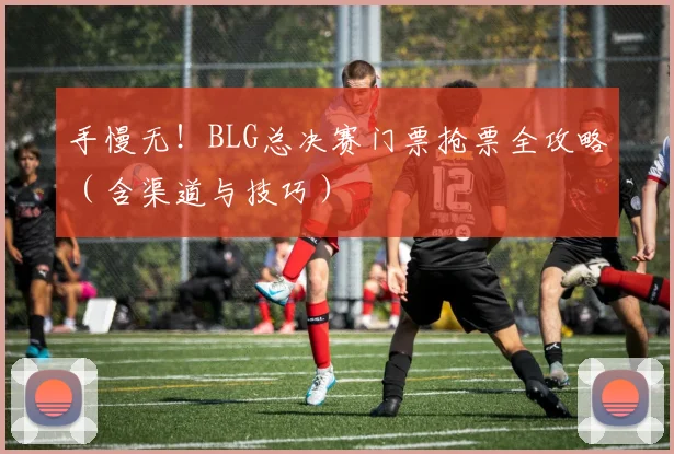 手慢无!BLG总决赛门票抢票全攻略(含渠道与技巧)